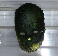 moss covered porcelain face